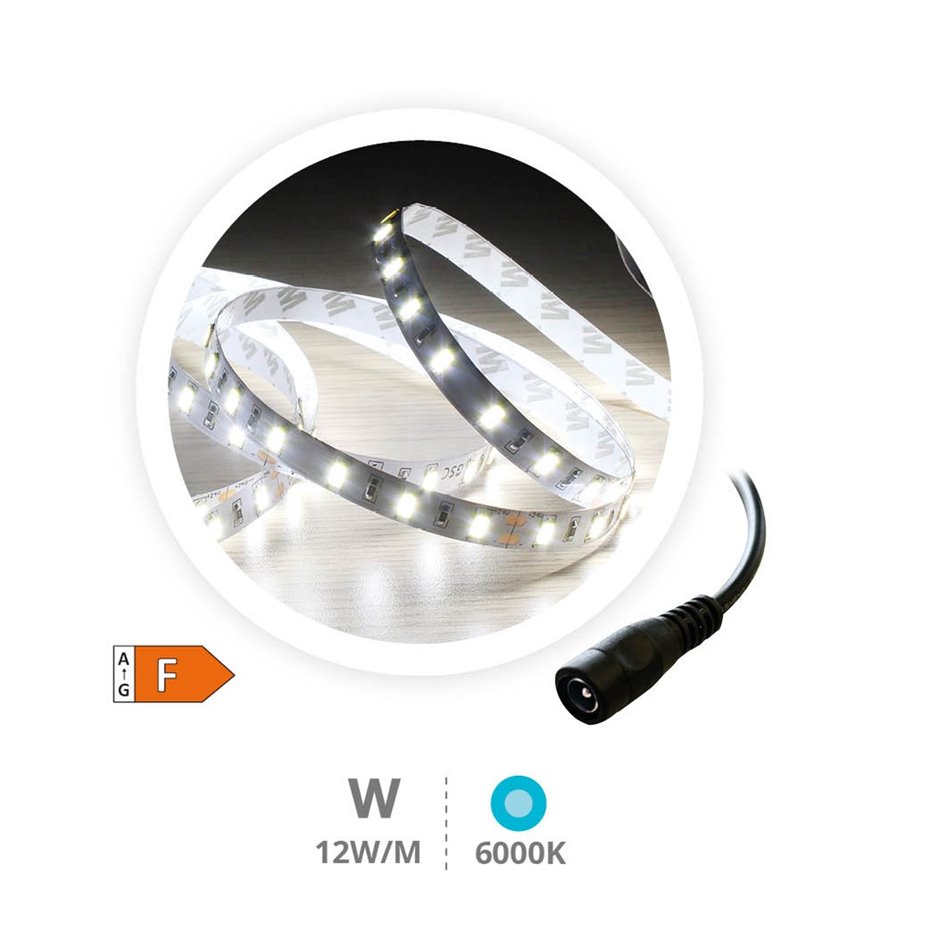 Rollo 5M TIRA LED (12W) 6000K-6500K IP20 24V