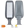 Farola LED Bagura 150W 4000K IP65 - Pro Line
